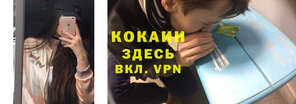 спайс Бородино