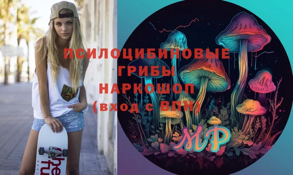 герыч Бронницы