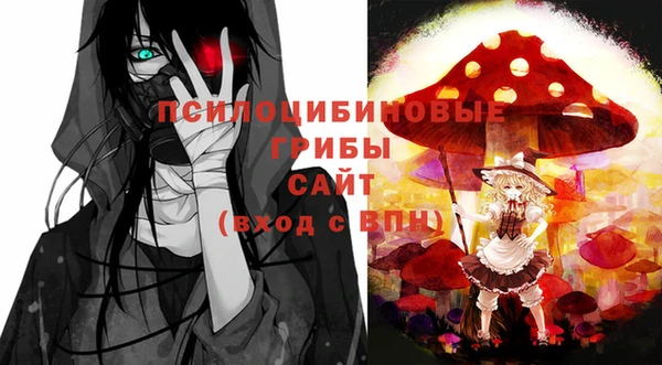 ПСИЛОЦИБИНОВЫЕ ГРИБЫ Бугульма
