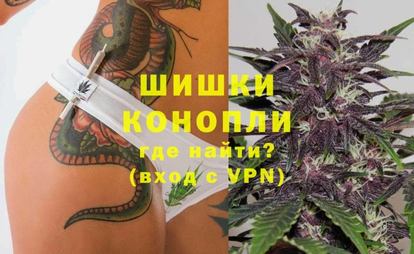 спайс Бородино