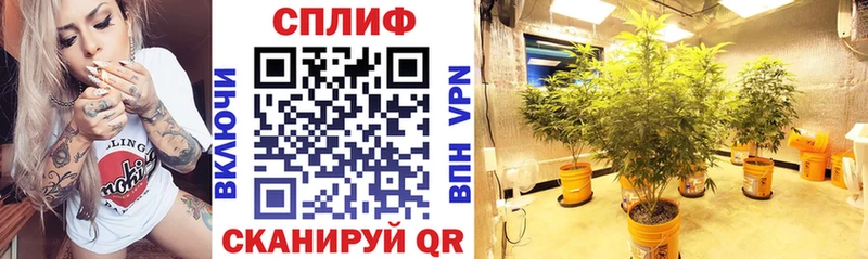 Шишки марихуана конопля  ОМГ ОМГ зеркало  Ростов 